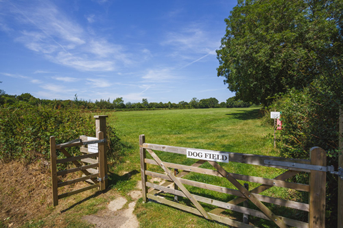 Secure, private and enclosed fields to walk dogs