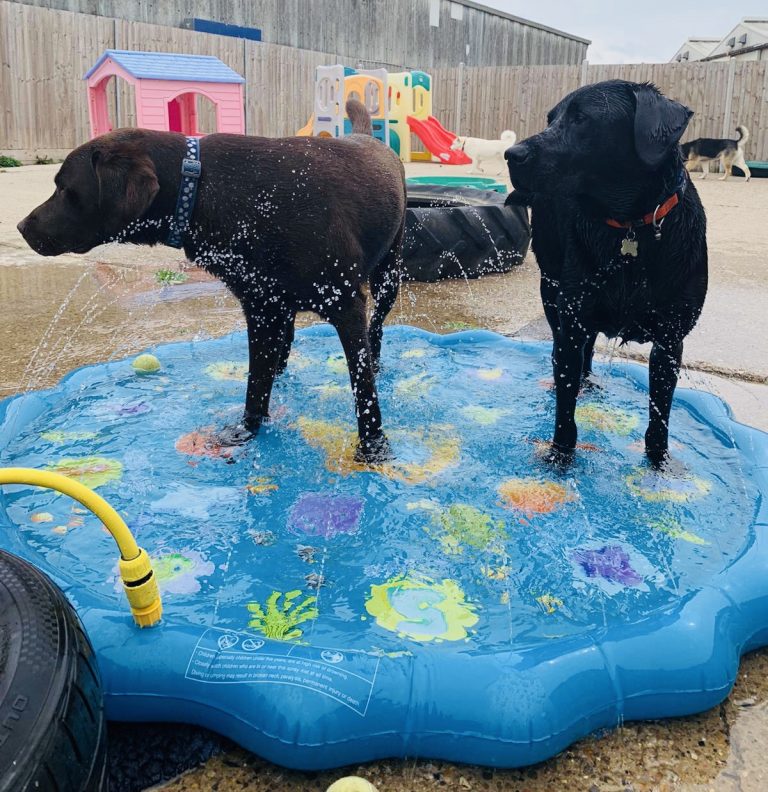 383C3E24 3D2B 44B5 A978 72EB68C39CF6 768x792