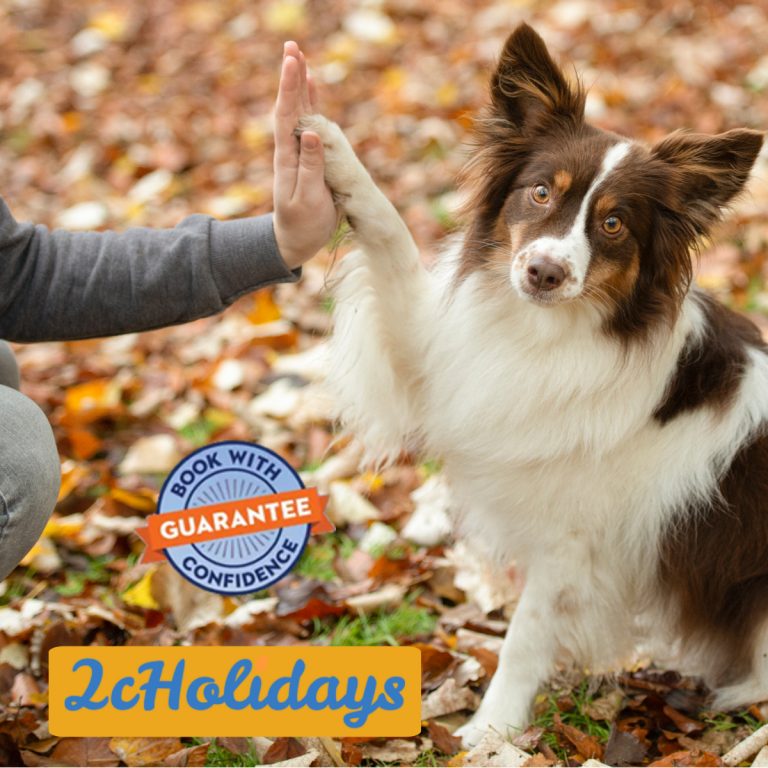 shutterstock 1870071727 768x768