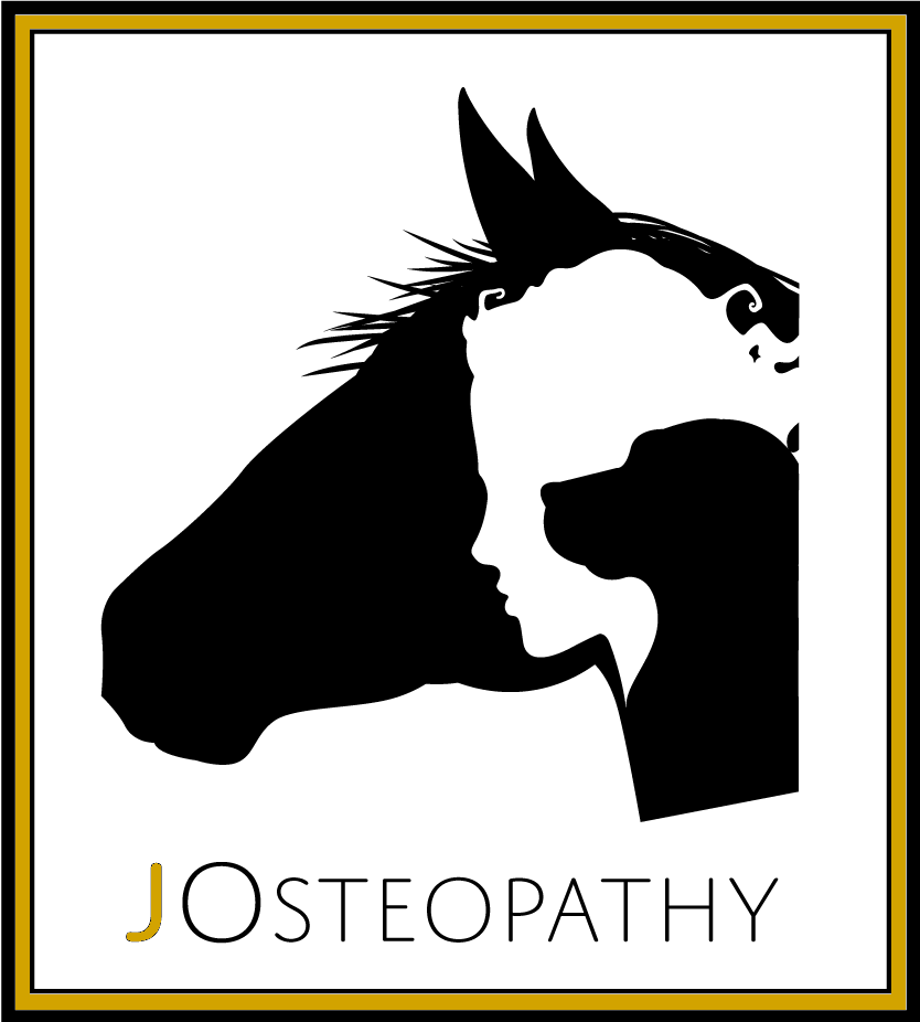 gold 2 JOsteopathy logo