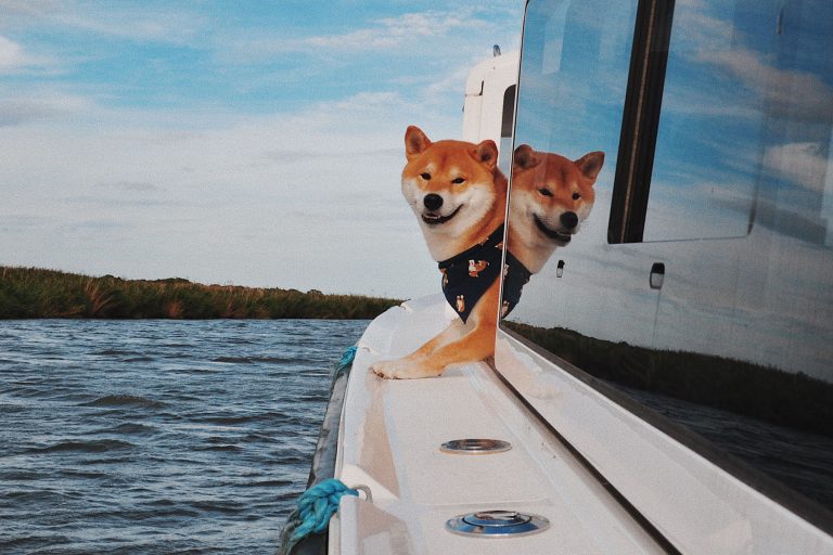 Norfolk Broads Holiday Pet Friendly 1 1 768x512