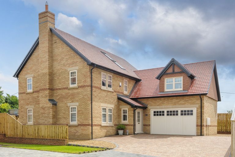 Fern House 1 768x512