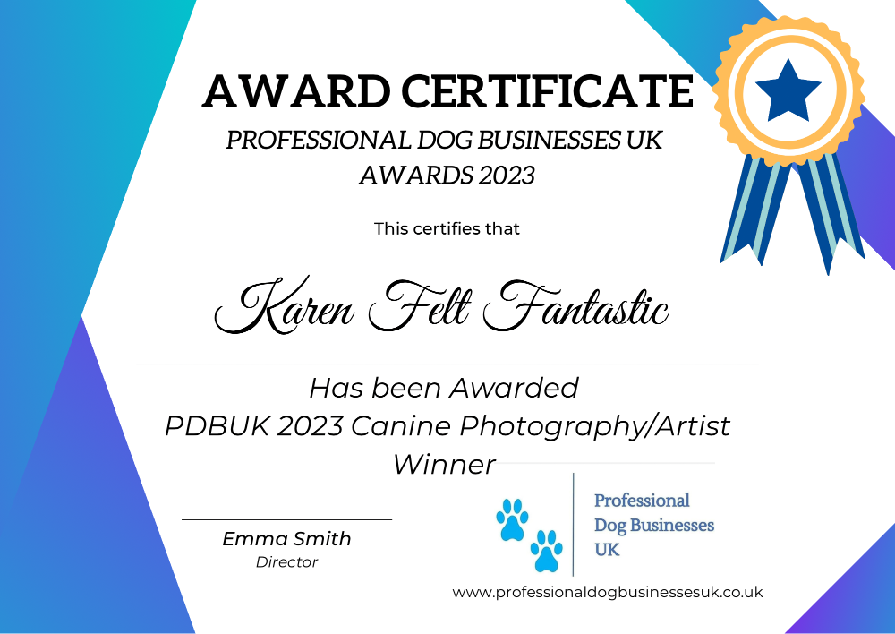 Karen Felt Fantastic PDBUK certificate for posting
