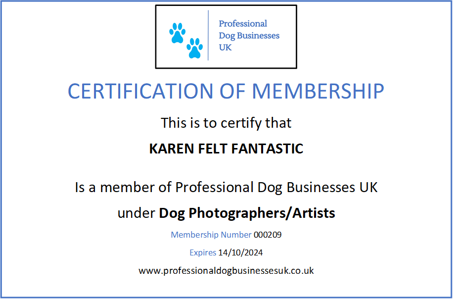 Membership certificate for Professional dog businesses uk 2023