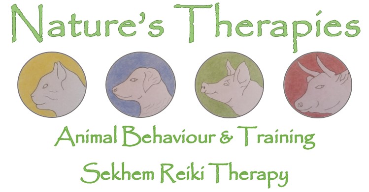 Natures therapies both services bold