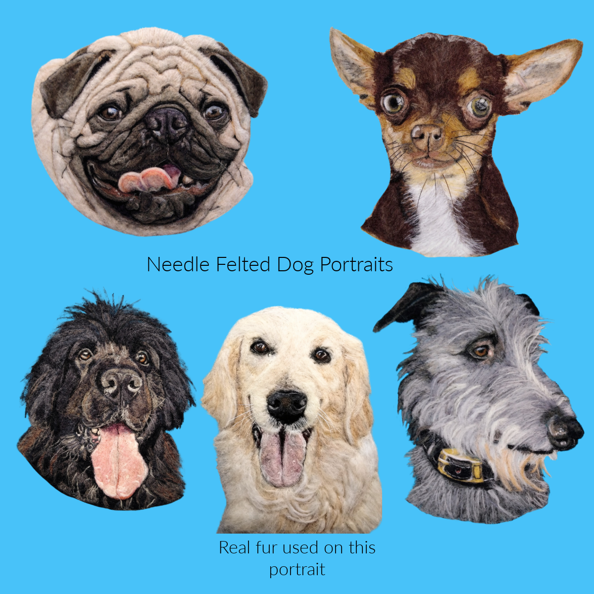 Recent dog portraits collage Facebook Post