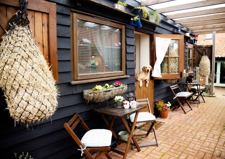 stables Norfolk holiday accommodation labrador 19 of 1 768x541